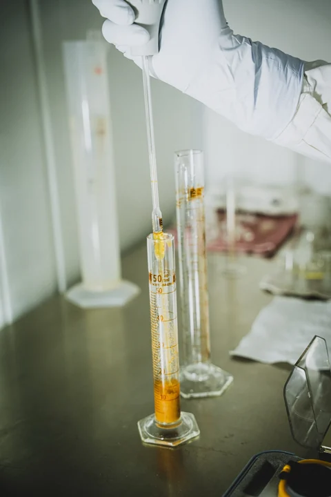 Triple extraction of medicinal mushrooms