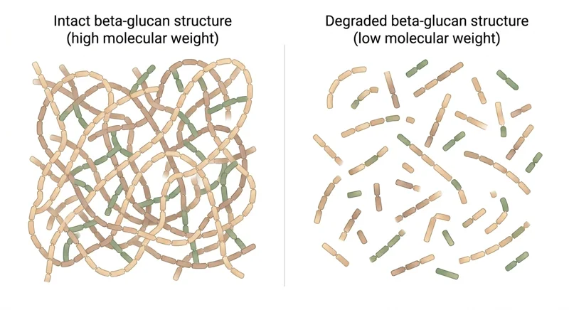 Comparison of long-chain beta-glucans versus fragmented chains