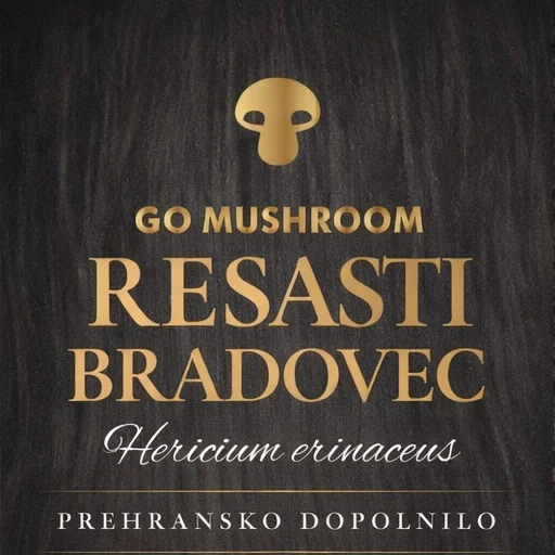 GoMushroom Lion’s Mane tincture