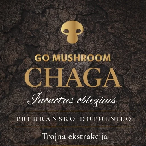 GoMushroom Chaga tincture