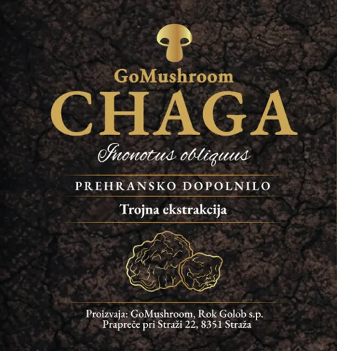 GoMushroom Chaga tinktura