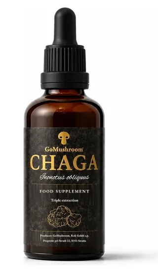 Chaga tincture (Inonotus obliquus) - triple extracted GoMushroom