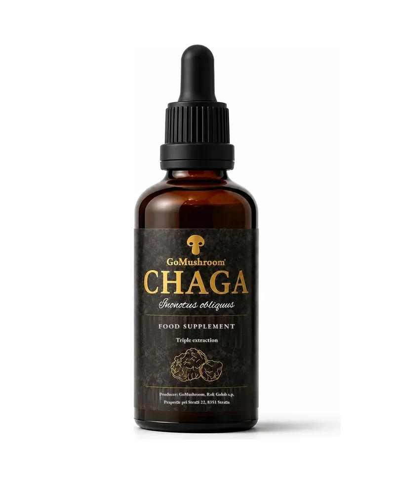 Chaga
