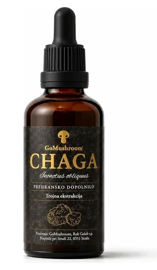 Chaga tinktura (Inonotus obliquus) - trojna ekstrakcija GoMushroom