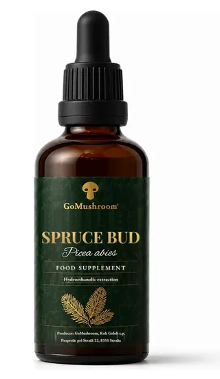 Spruce bud concentrate - hydroethanolic extraction GoMushroom