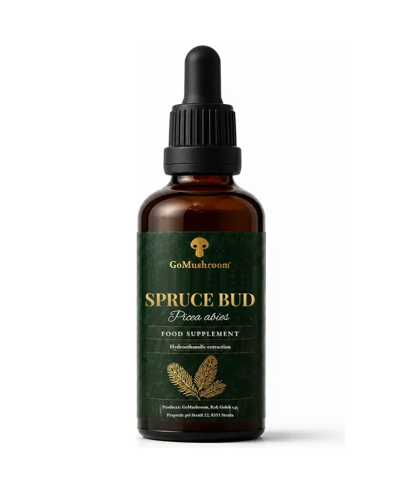 Spruce Bud Tincture