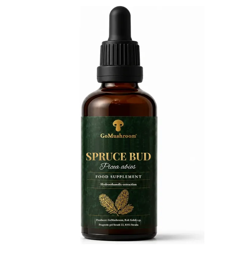 Spruce bud extract 50 ml GoMushroom - alcohol-based version with black cap
